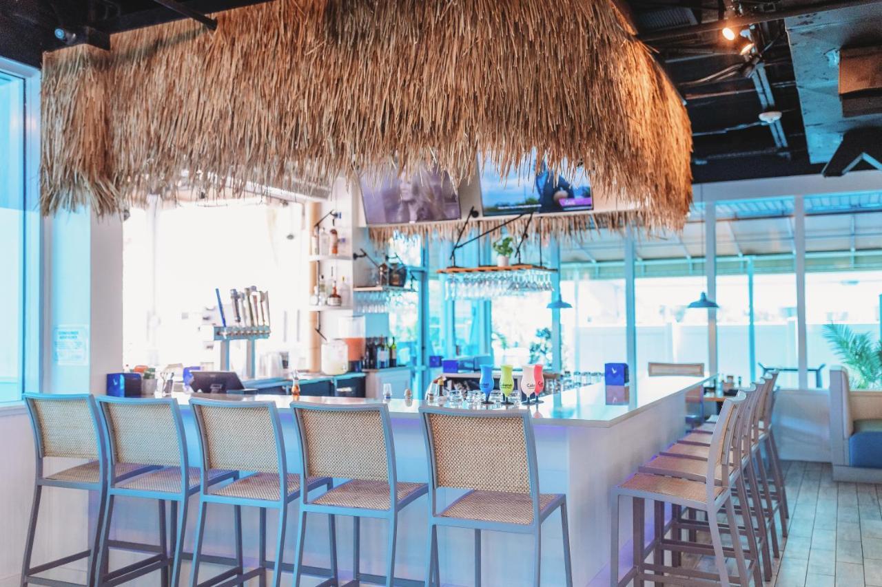Winter The Dolphin'S Beach Club, Ascend Hotel Collection Clearwater Beach Esterno foto