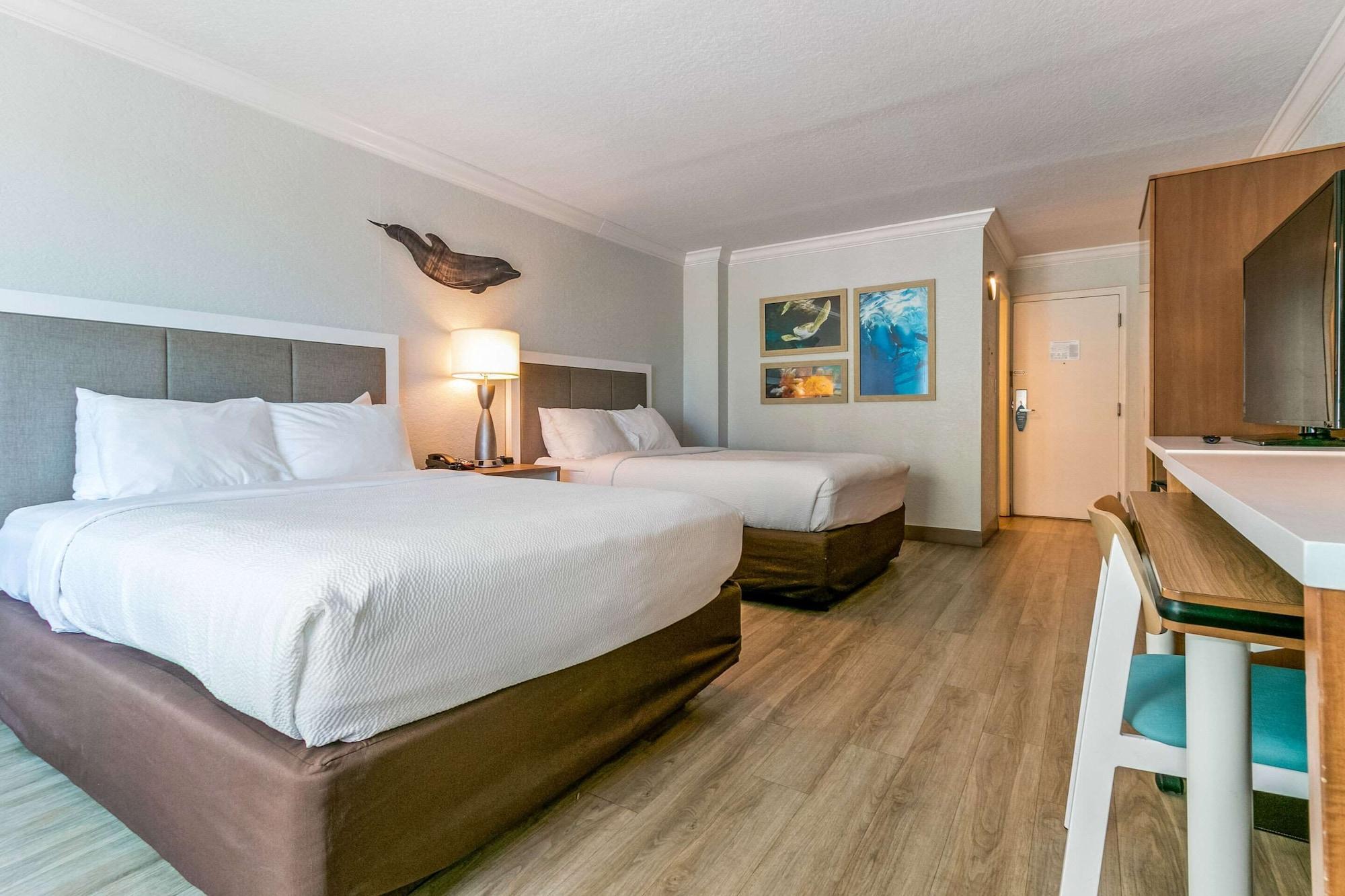 Winter The Dolphin'S Beach Club, Ascend Hotel Collection Clearwater Beach Esterno foto