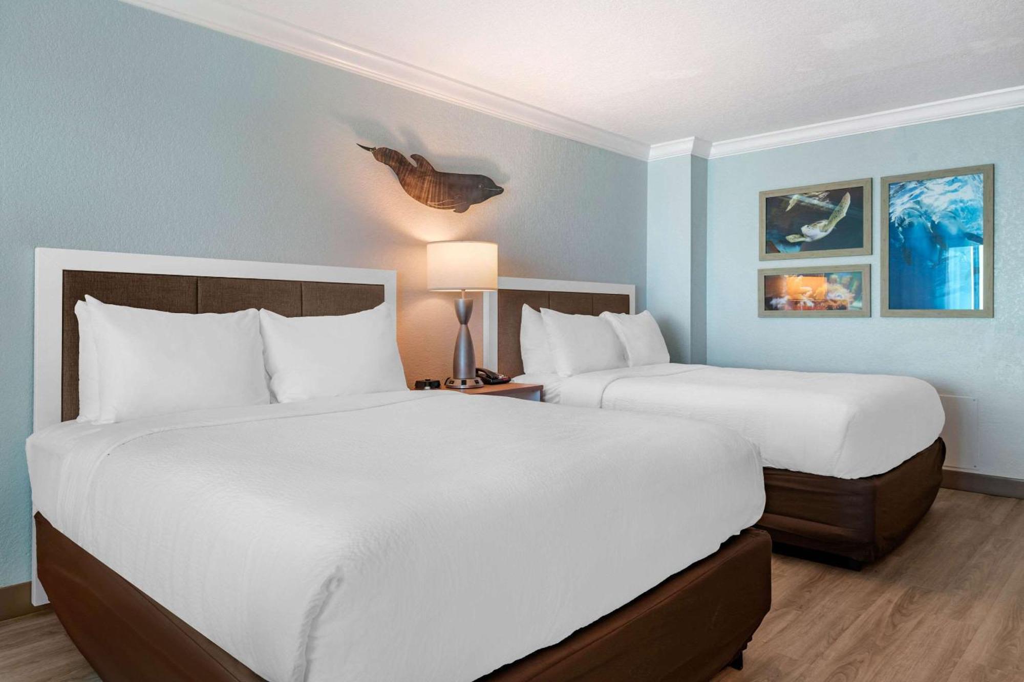 Winter The Dolphin'S Beach Club, Ascend Hotel Collection Clearwater Beach Esterno foto
