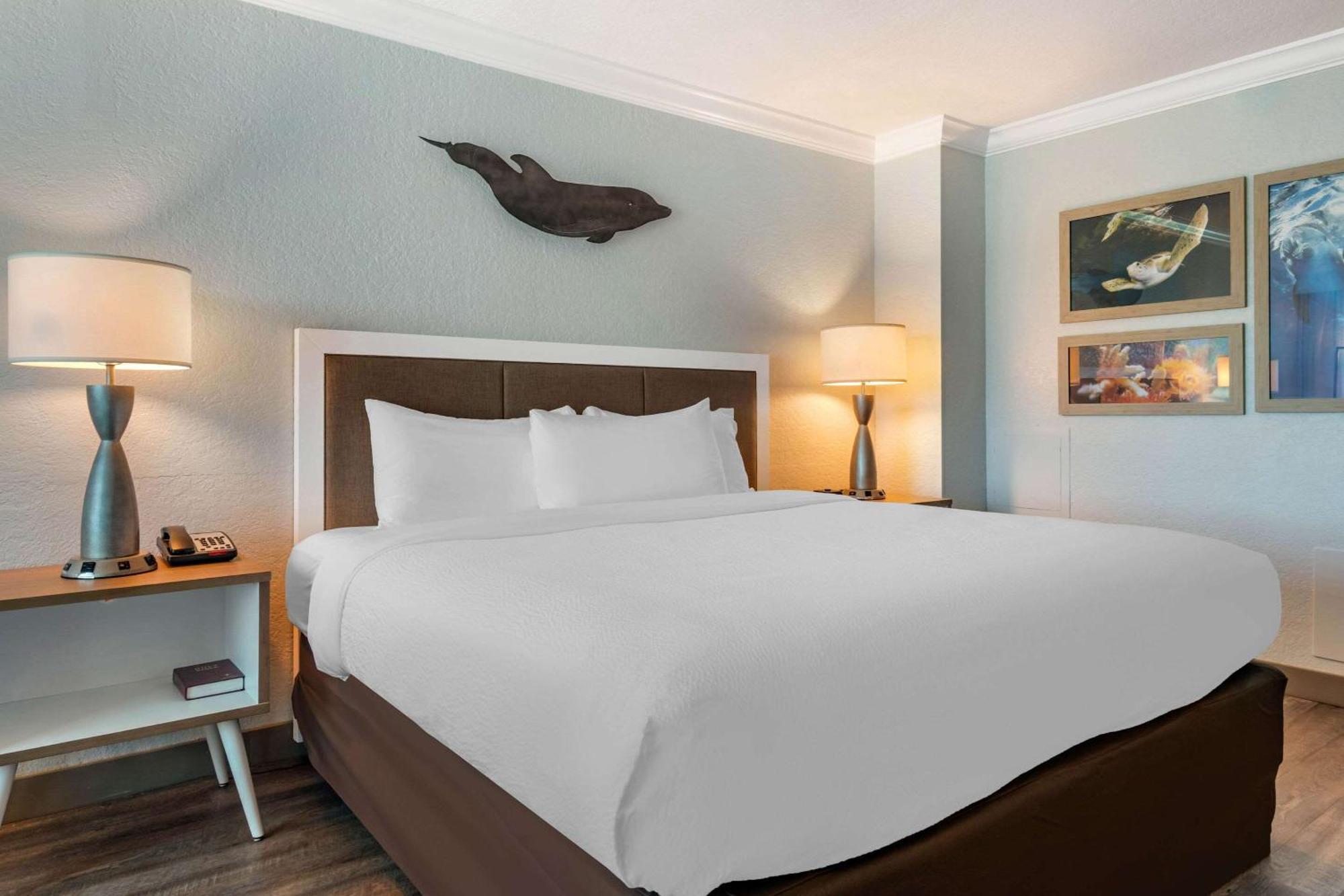 Winter The Dolphin'S Beach Club, Ascend Hotel Collection Clearwater Beach Esterno foto