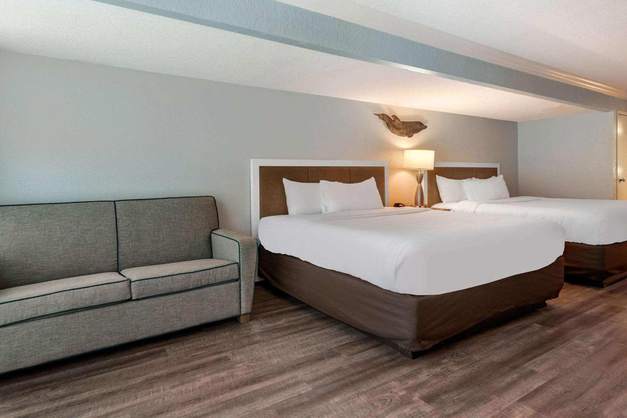 Winter The Dolphin'S Beach Club, Ascend Hotel Collection Clearwater Beach Esterno foto