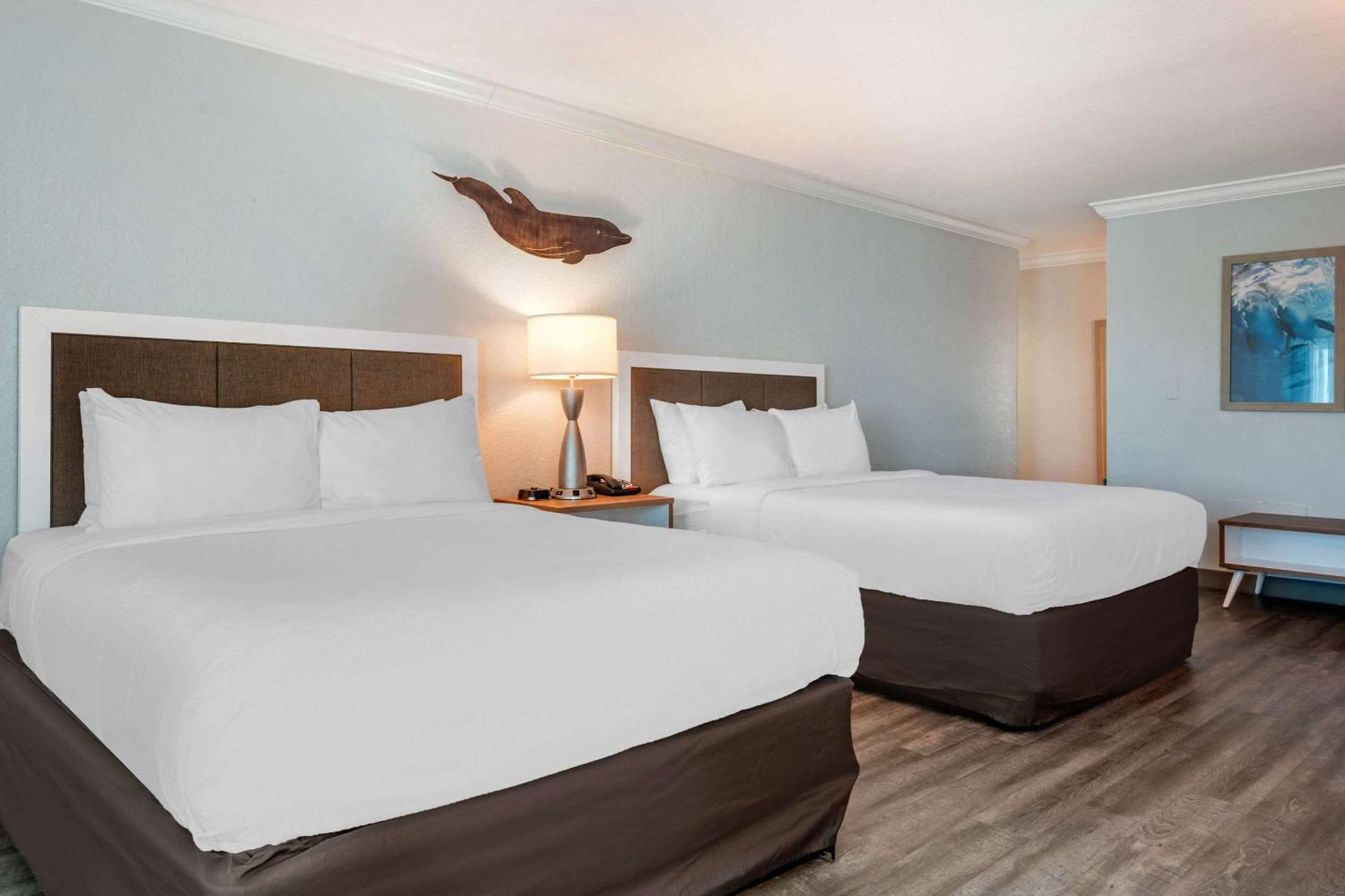 Winter The Dolphin'S Beach Club, Ascend Hotel Collection Clearwater Beach Esterno foto