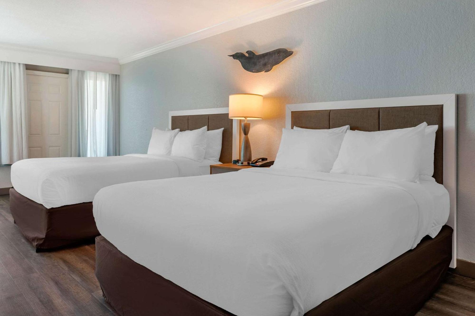 Winter The Dolphin'S Beach Club, Ascend Hotel Collection Clearwater Beach Esterno foto